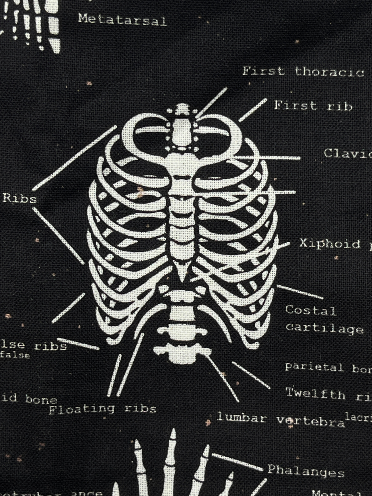 Bones of the Body Scrub Cap
