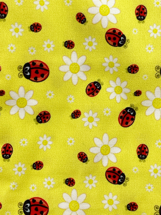 Ladybug Scrub Cap