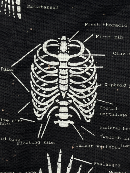 Bones of the Body Scrub Cap