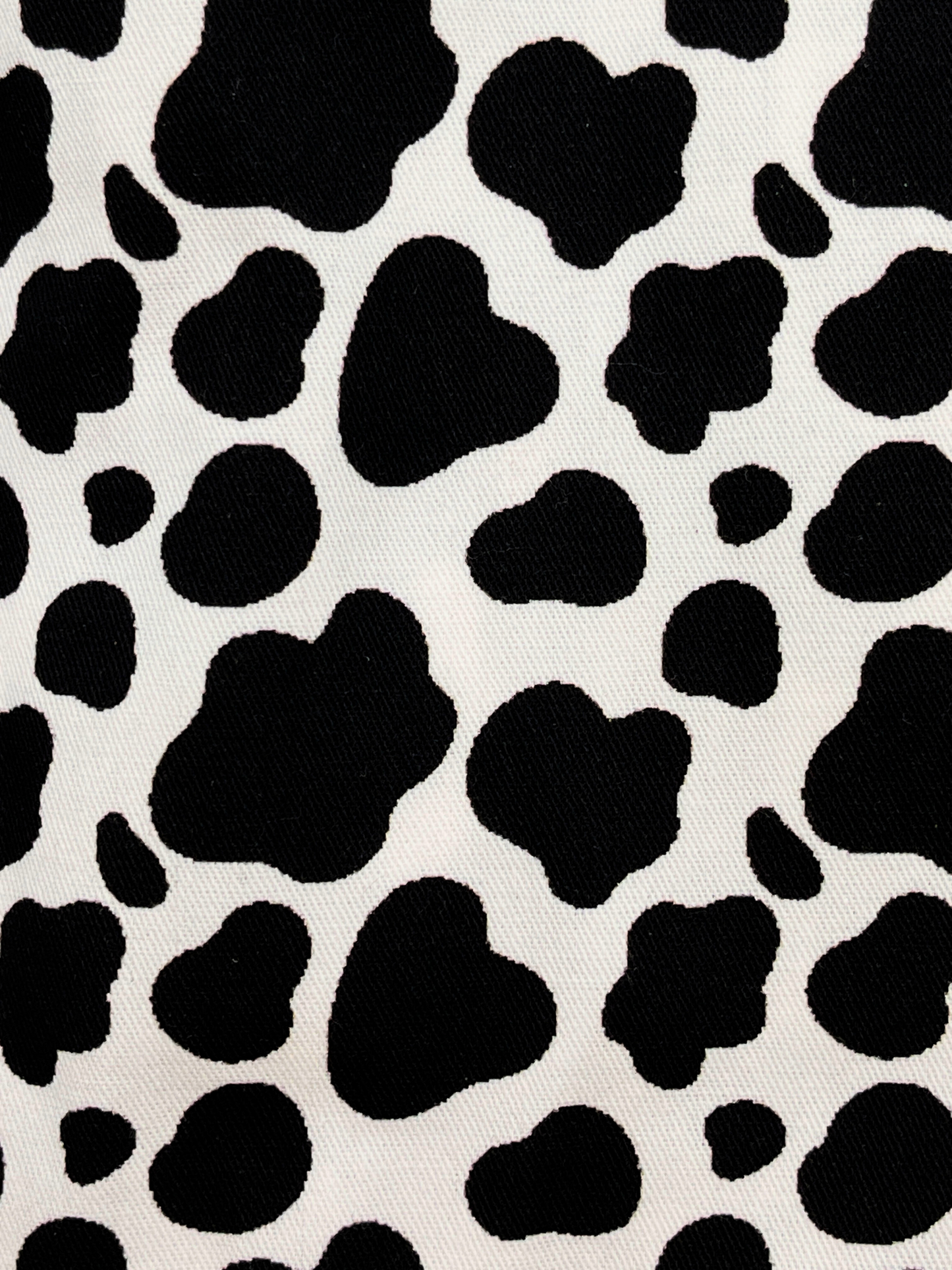 Cow Scrub Cap
